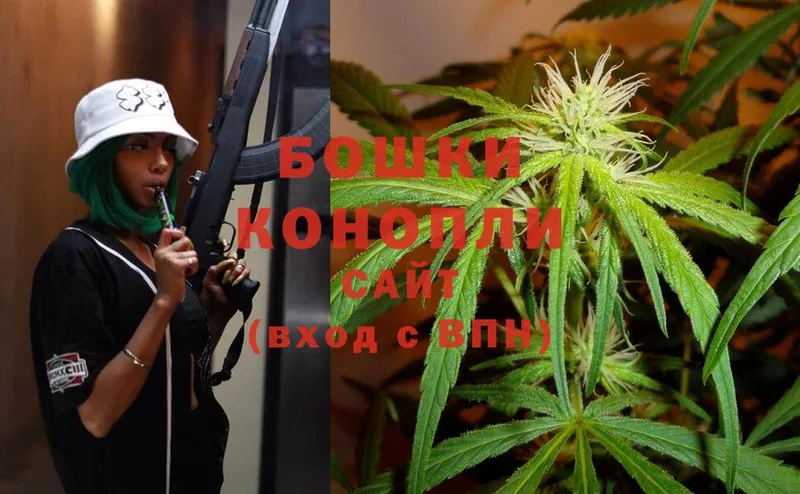 Бошки Шишки THC 21%  Мурино 